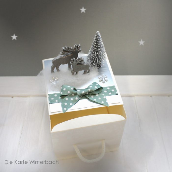 Geldgeschenk zu Weihnachten "die besondere Verpackung" incl. Weihnachtskärtchen Design 71009 – Bild 2